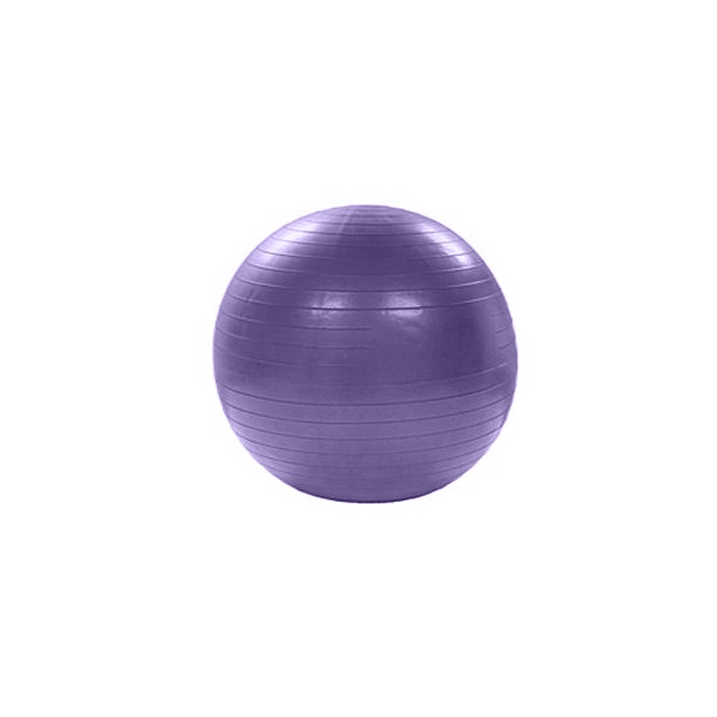Cannon - Pelota Gigante Fitball, Alta Calidad 75 cm, Antiexplosión. Incluye Hinchador. Ideal Pilates, Rehabilitación...